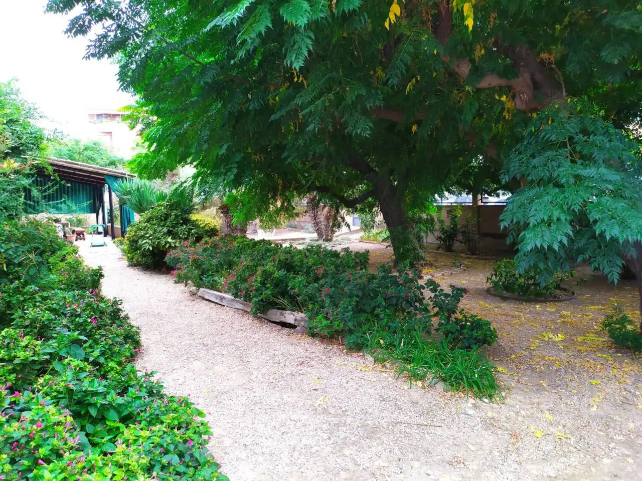 Villa avec jardin à vendre à Calle MELCHOR GUARDIA, imagen 12