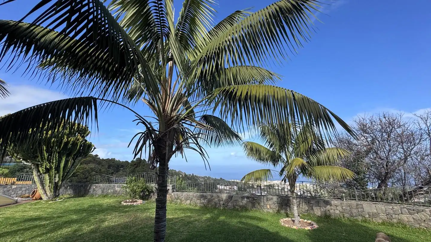 Casa con jardín en venta en La Guancha, imagen 82