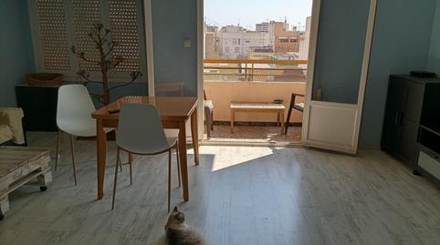 Foto 4 de Apartament per a compartir a Florida Baja, Alicante