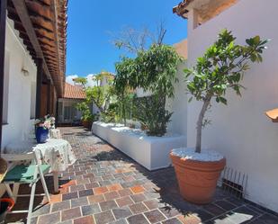 Terrace of Apartment to rent in Puerto de la Cruz  with Terrace