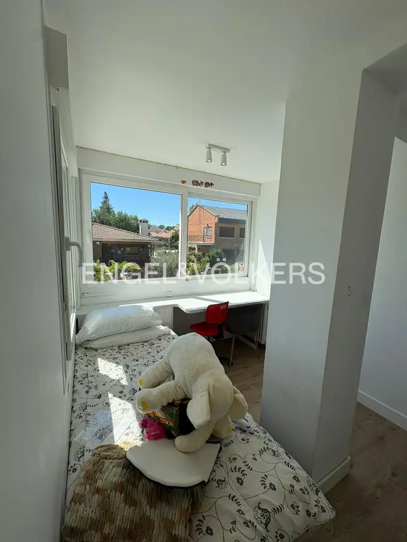 House with garden to rent in Las Matas  - Peñascales, imagen 12