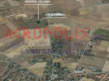 Terreno residenziale in vendita a Calle Poligono