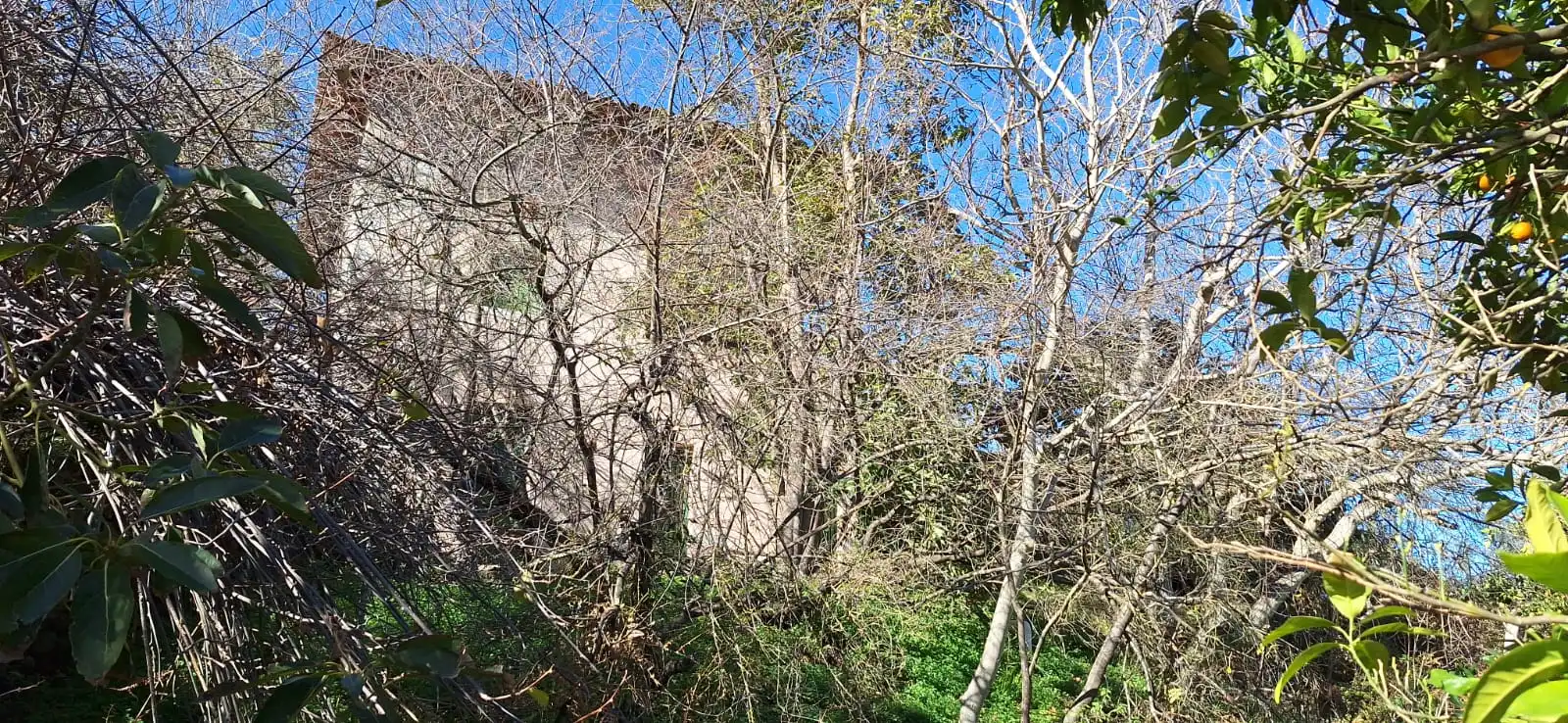 Finca rústica en venta en Los Realejos con Jardín privado y Terraza