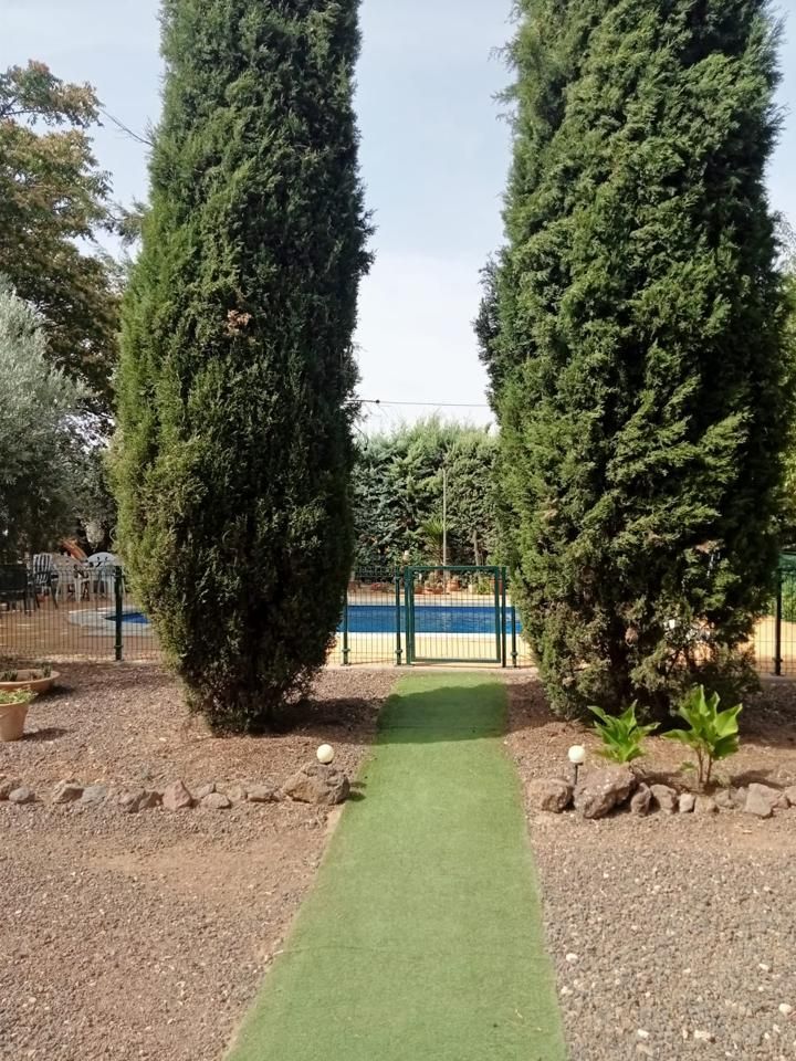 Piscina de Finca rústica en venda en Villamayor de Calatrava amb Piscina