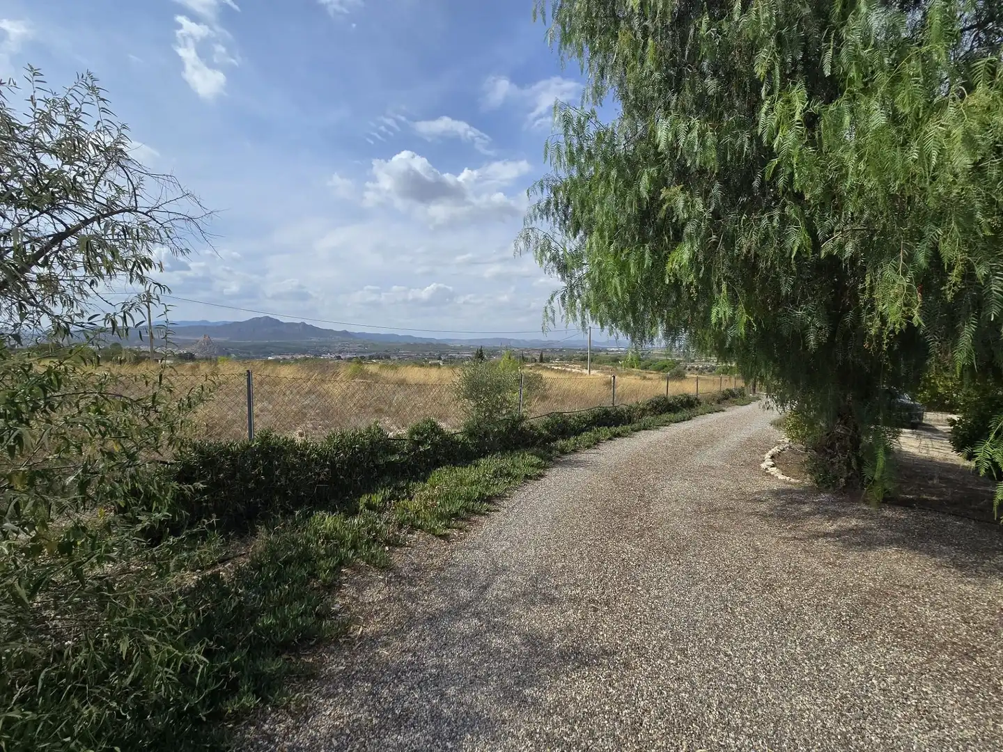 House for sale in Sax, imagen 20