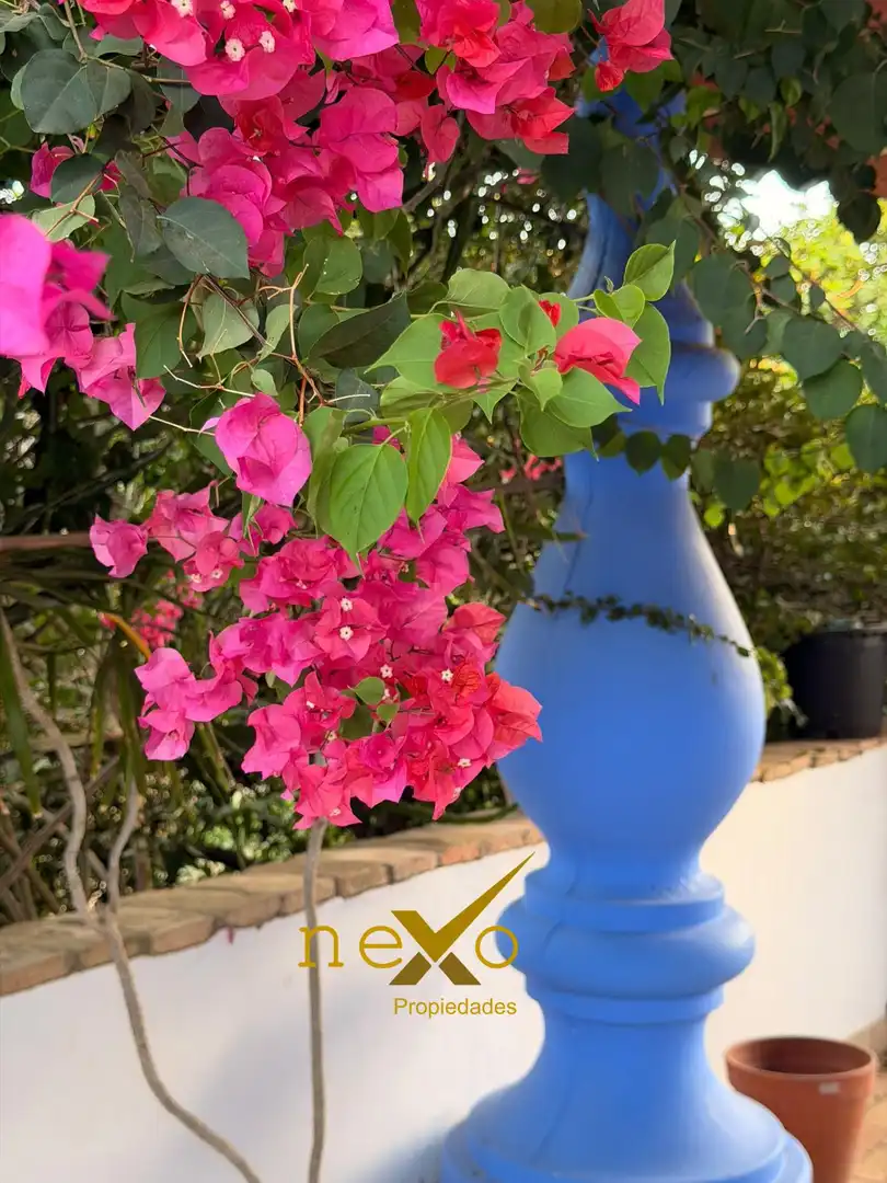Chalet con piscina en venta en Carmona, imagen 17