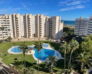 Apartment to rent in Camí de Fondo, Playa Muchavista