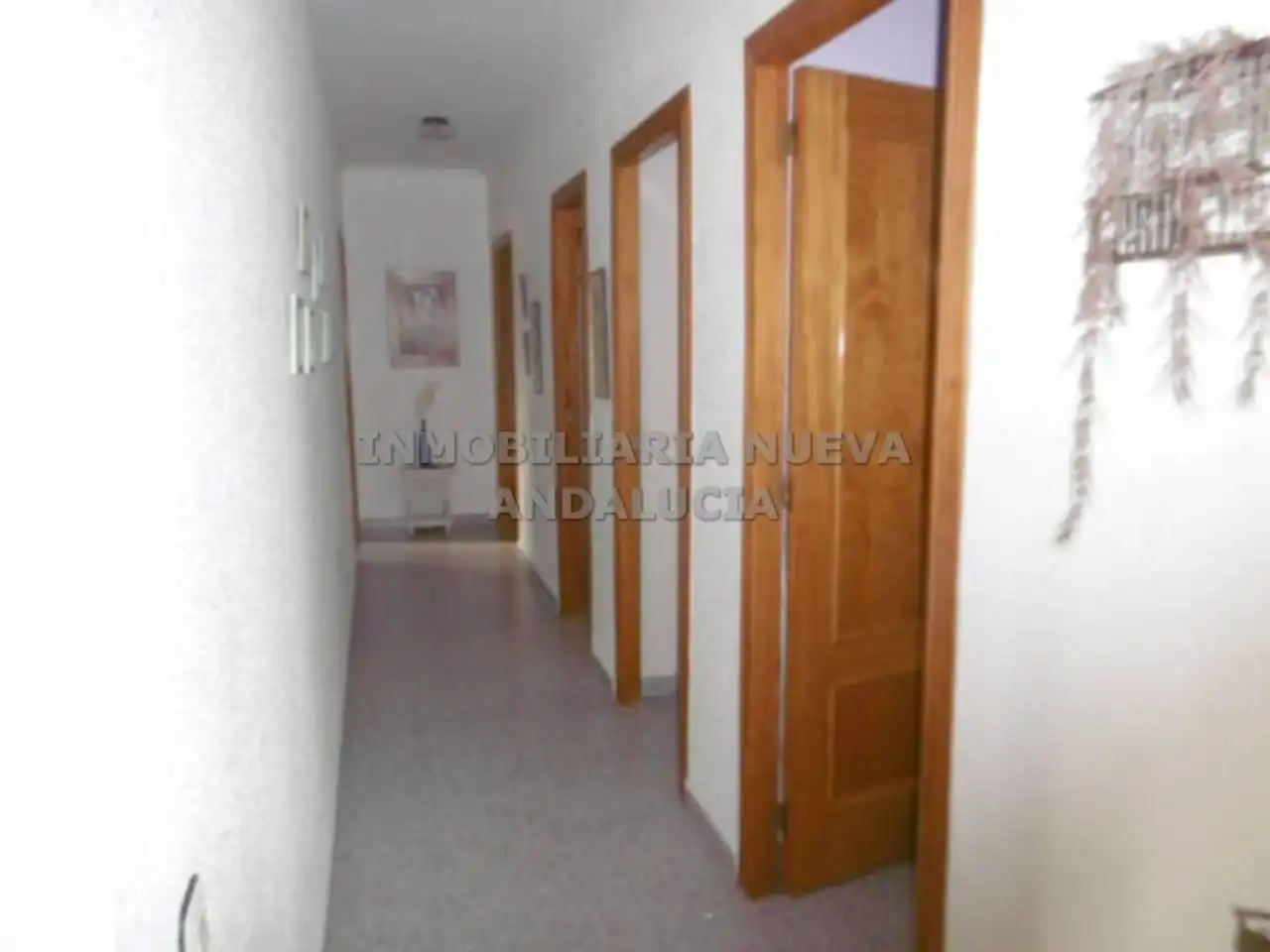 Houses for rent in Retamar