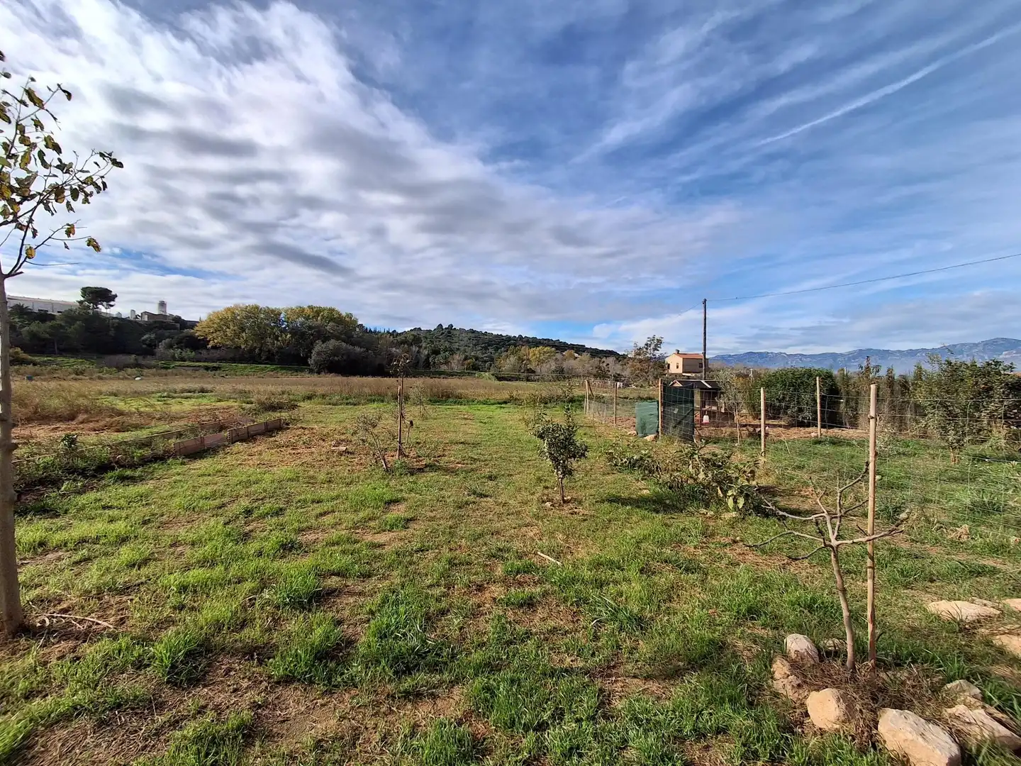 Casa o xalet en venda en Amposta