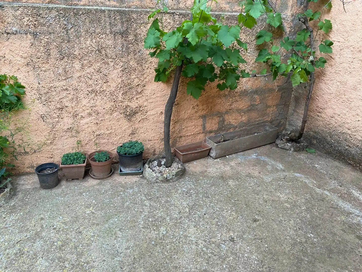 Finca rústica en venda a Calamocha