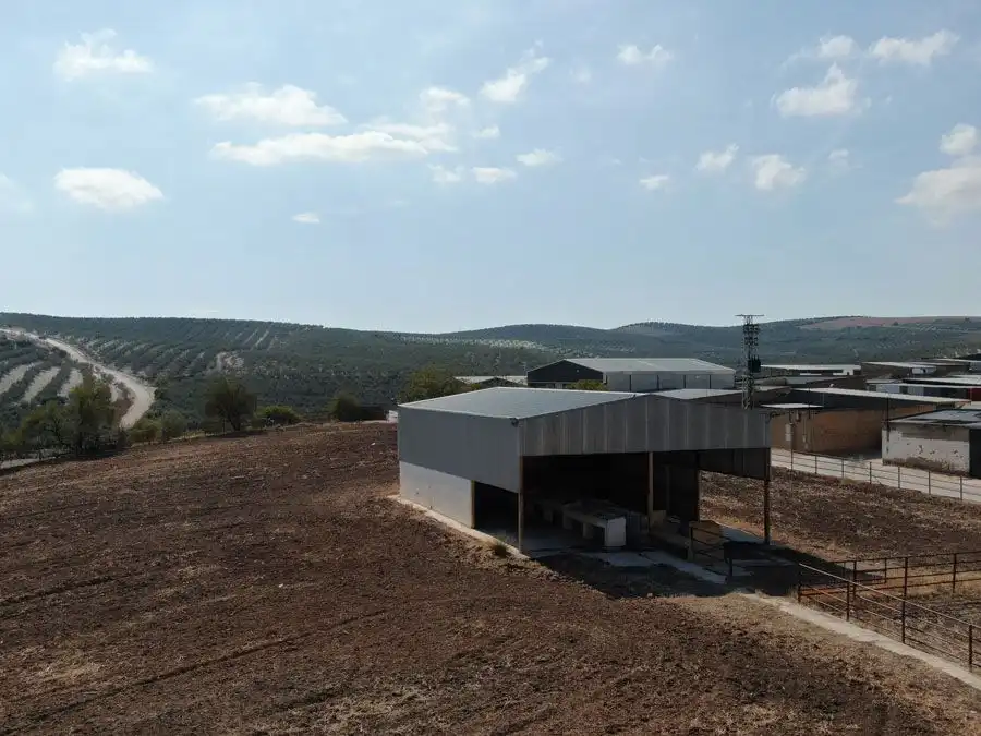 Exterior view of Country homes for sale in Marchena  with Terrace and Swimming Pool