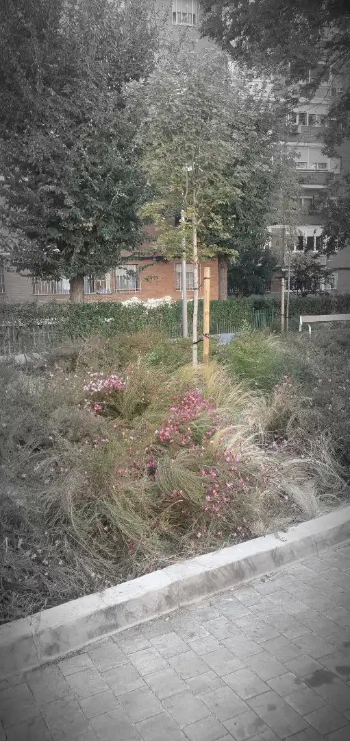 Jardí de Pis en venda en Moratalaz