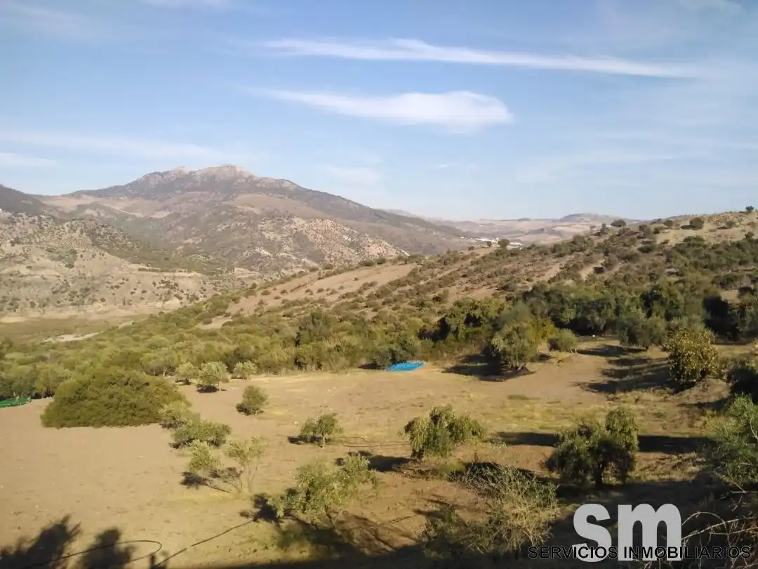 Terreno en venta en Zahara