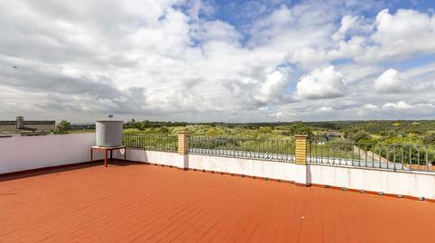 Photo 2 of Building for sale in Calle Cantagallo, 1, Las Pajanosas, Guillena