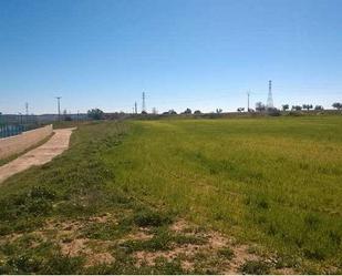 Land for sale in Torrejón de Velasco