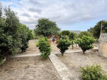 Terrenys i solars en venda a Sant Tomas 37