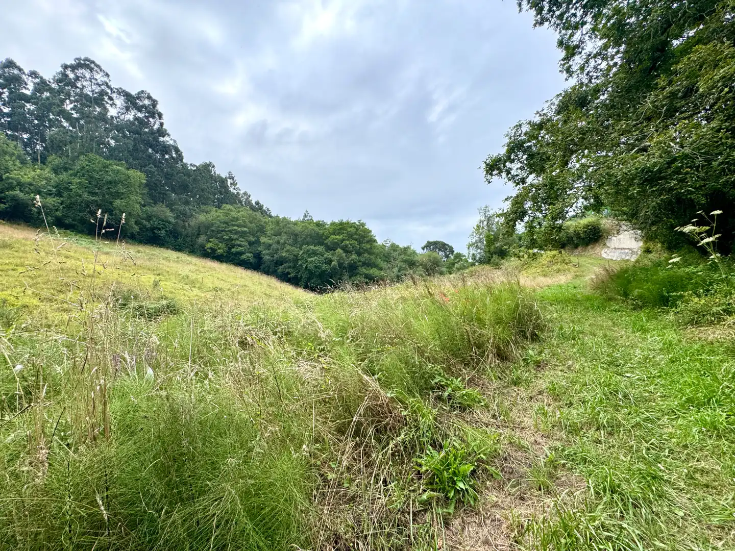 Terreno en venta en Villaviciosa