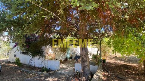 Finca con piscina a pocos minutos de Ronda, imagen 5