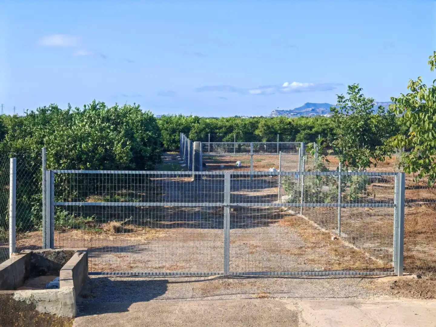 Rural land for sale in Benavites, imagen 2