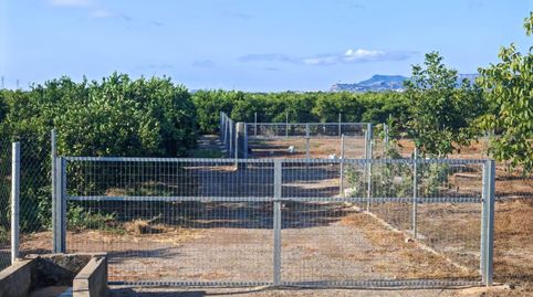 Foto 2 de Terreno en venta en Benavites, Valencia