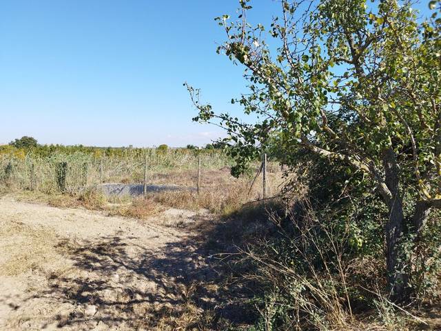Finca rústica en Venta en Puigverd de Lleida