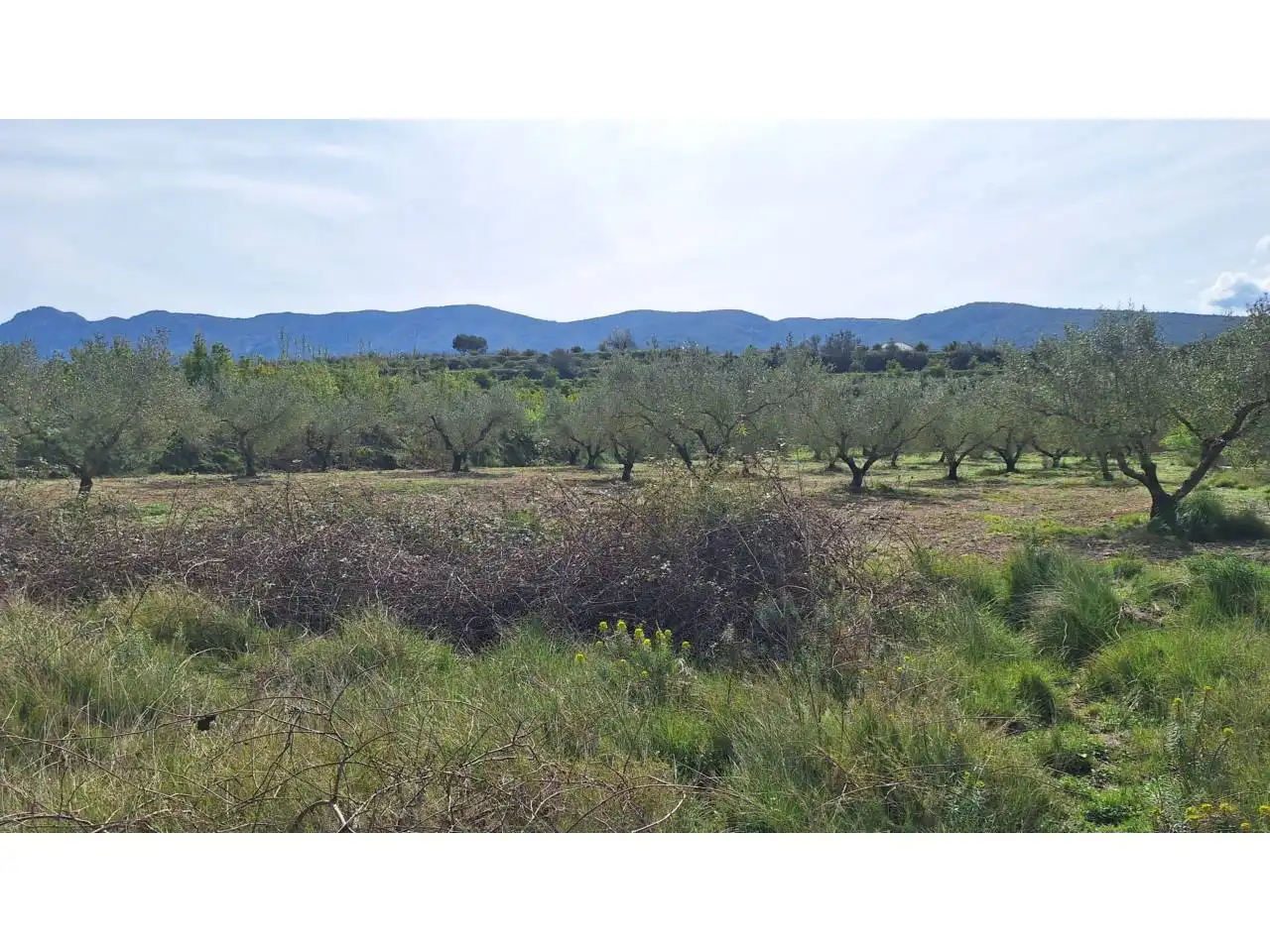 Terreno residencial en venta en Pasaje Alfogas, imagen 6