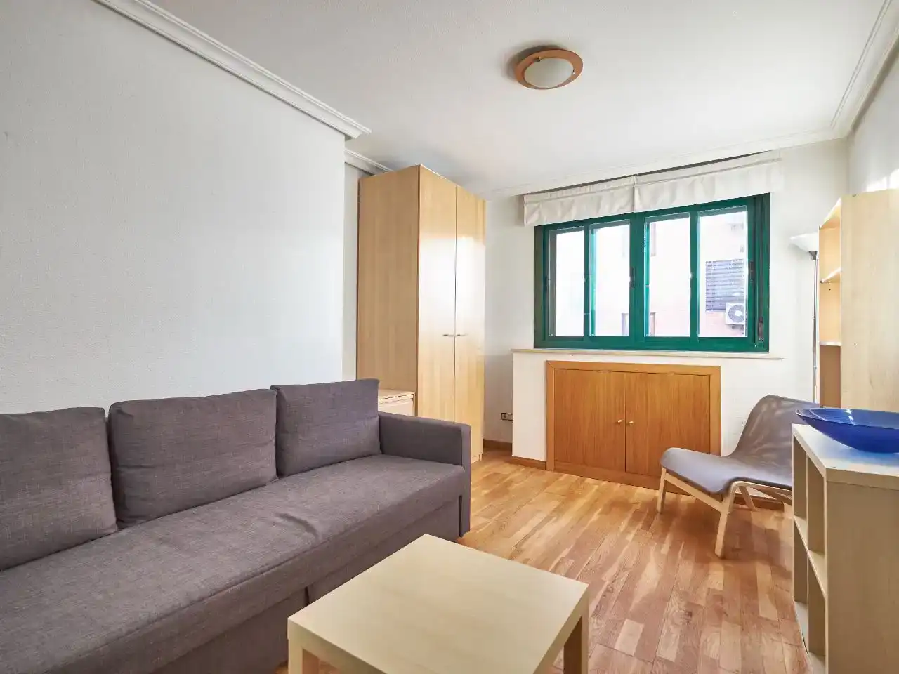 Sala d'estar de Estudi en venda en Madrid amb Aire condicionat, Jardí privat i Parquet