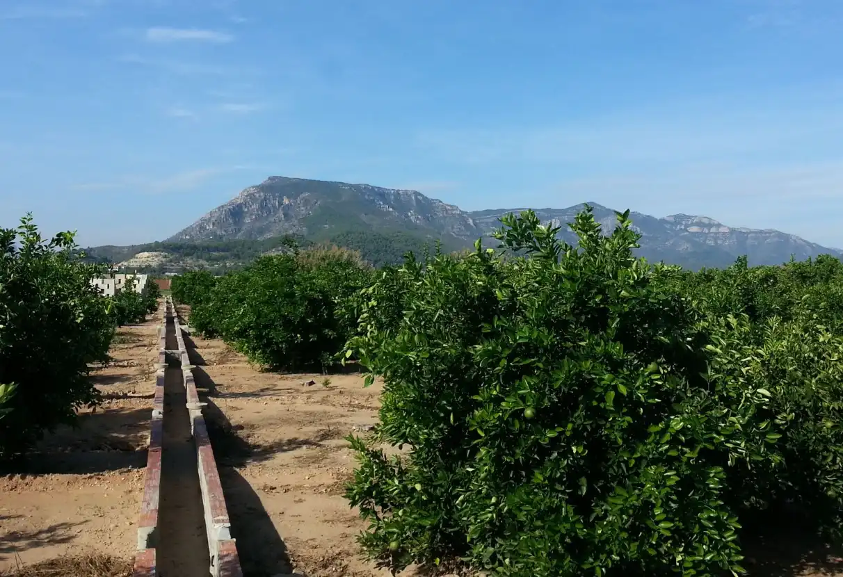 Terreny rústic en venda a Camí de la Perrera, imagen 11