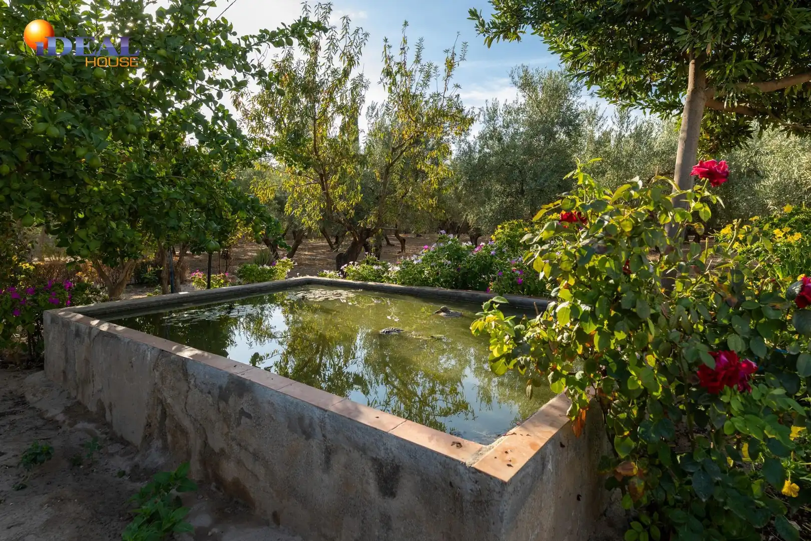 Casa rústica amb piscina en venda a Moraleda de Zafayona, imagen 6