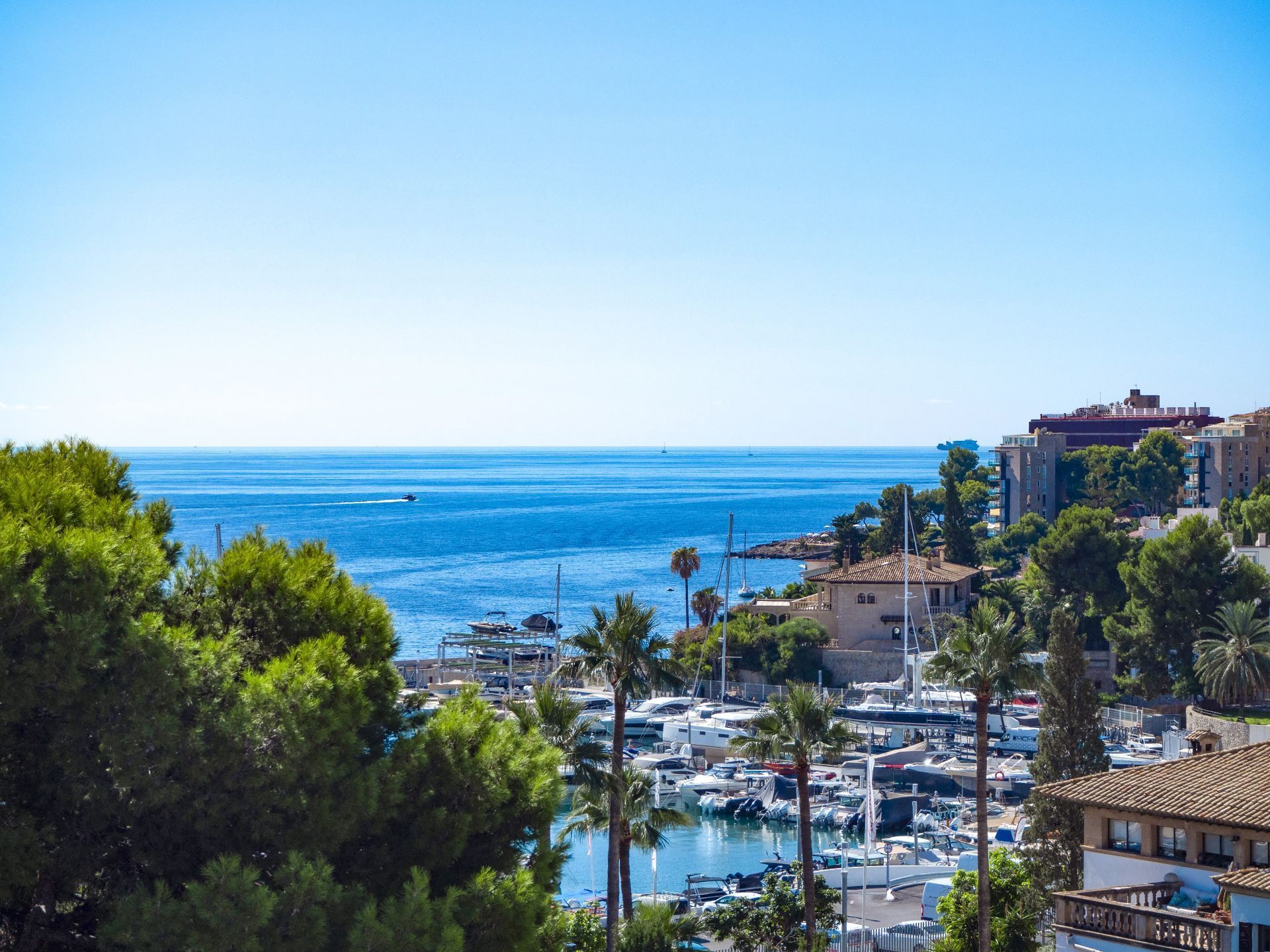 Vista exterior de Àtic en venda en  Palma de Mallorca amb Aire condicionat, Terrassa i Piscina comunitària