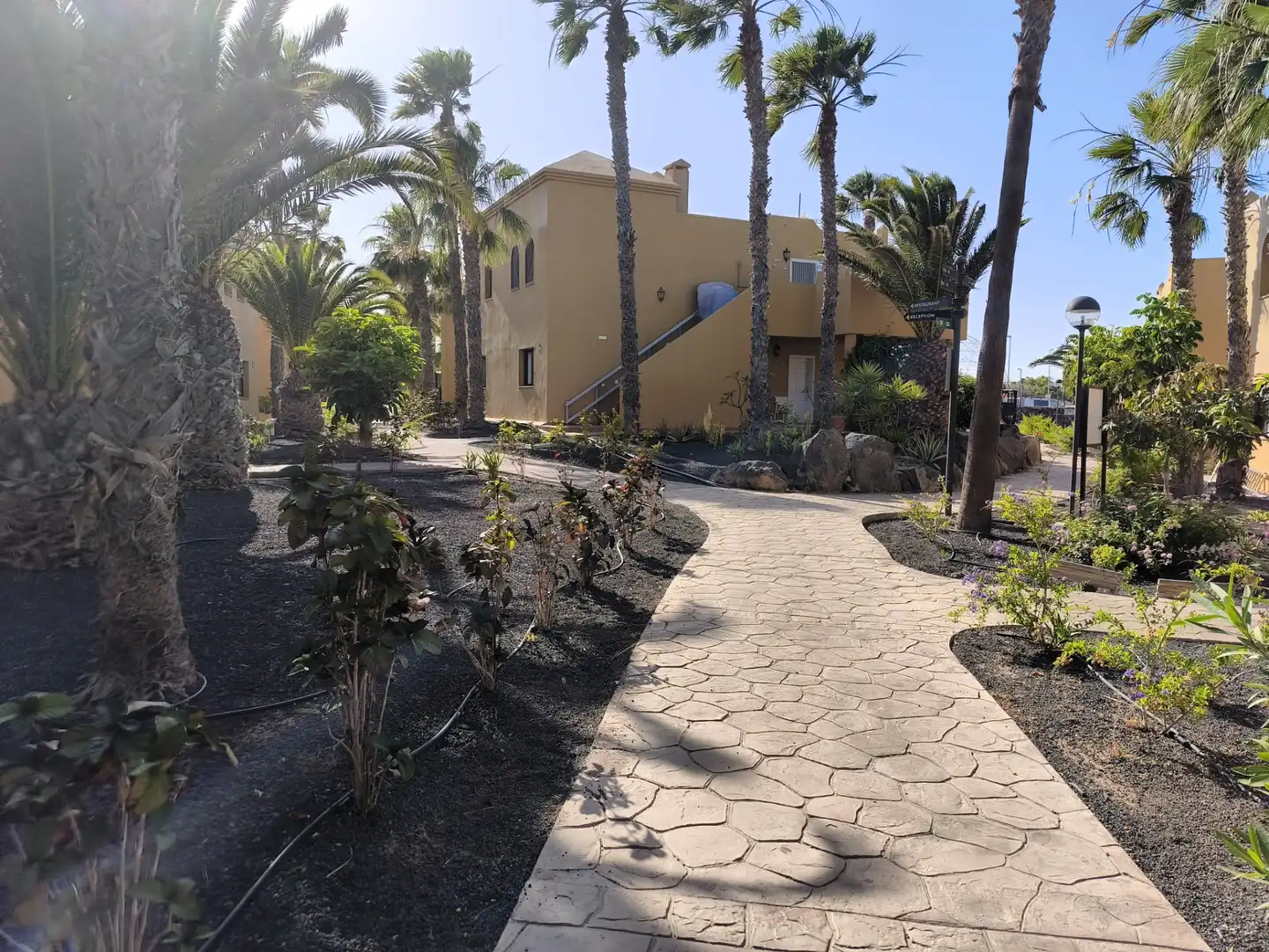 Vista exterior de Apartamento en venta en La Oliva con Terraza, Amueblado y Piscina comunitaria