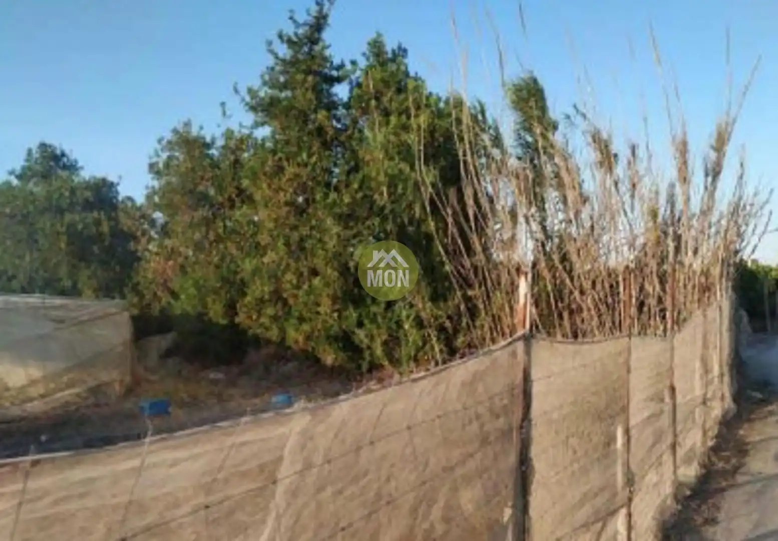 Terreno rústico en venta en Playa de Gandia, imagen 8