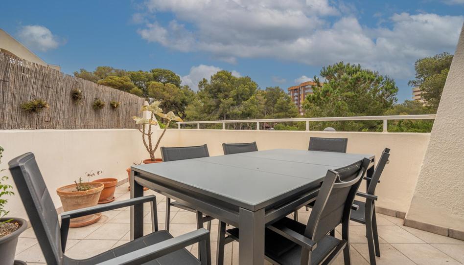 Photo 1 of Apartment for sale in Avenida Avenida de Los Pinares, El Saler, Valencia