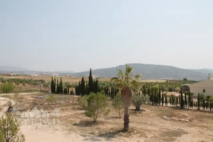 Landhaus zum Verkauf in El Pinós / Pinoso, imagen 26