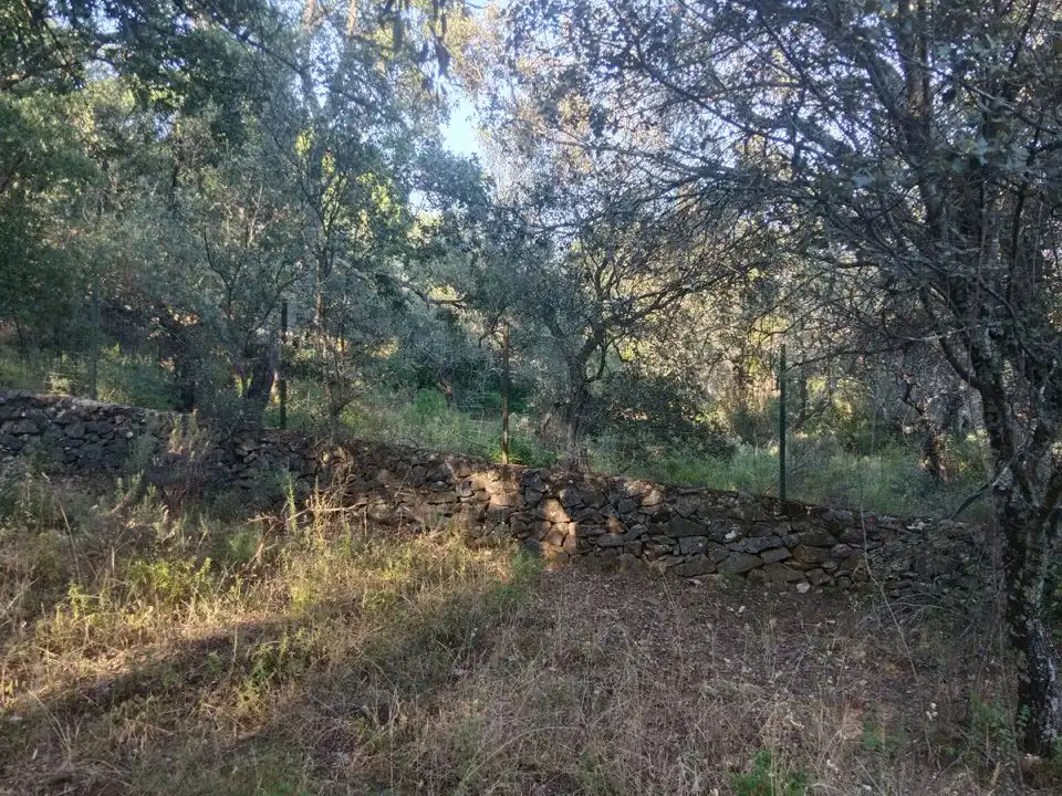 Finca rústica en venta en Linares de la Sierra
