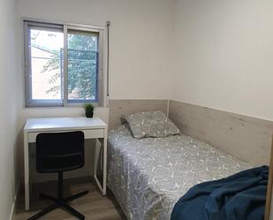 Apartment to share in Arcos