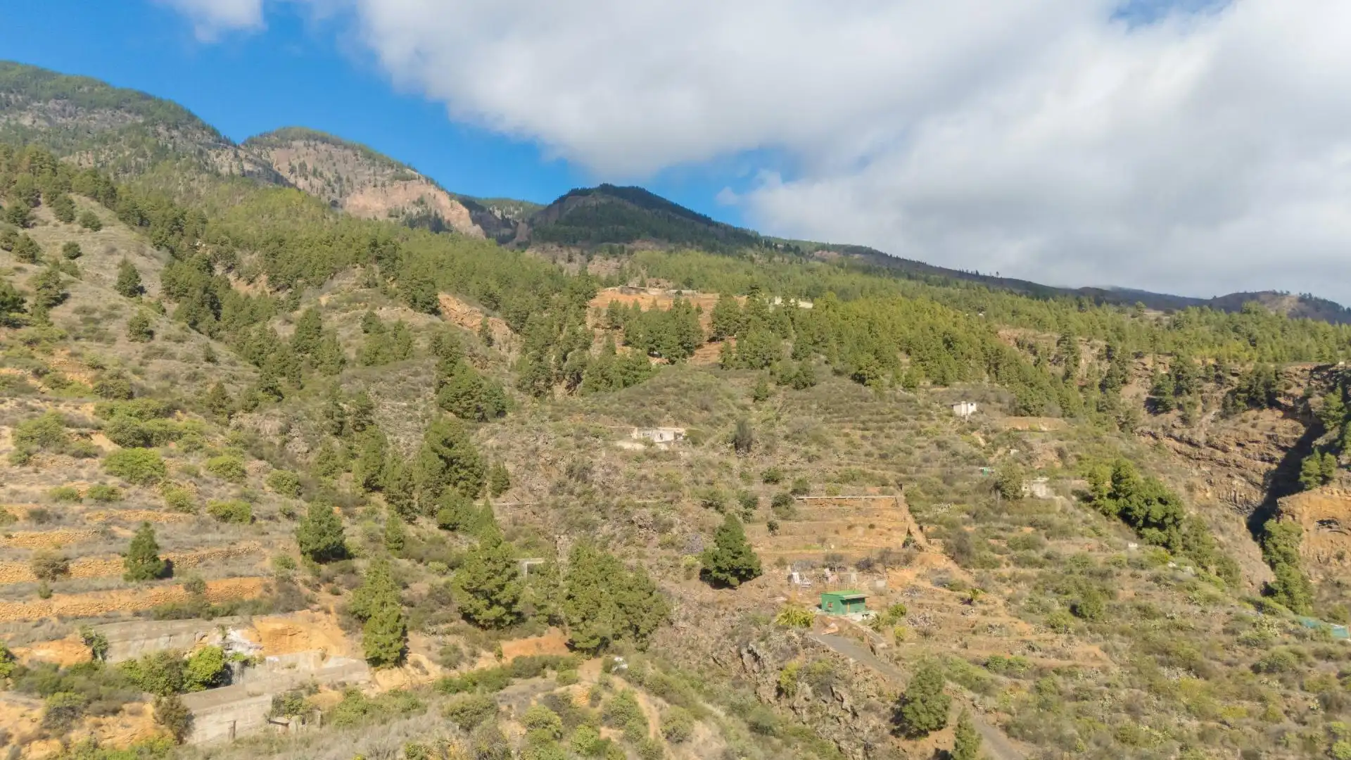 Country homes for sale in Arafo