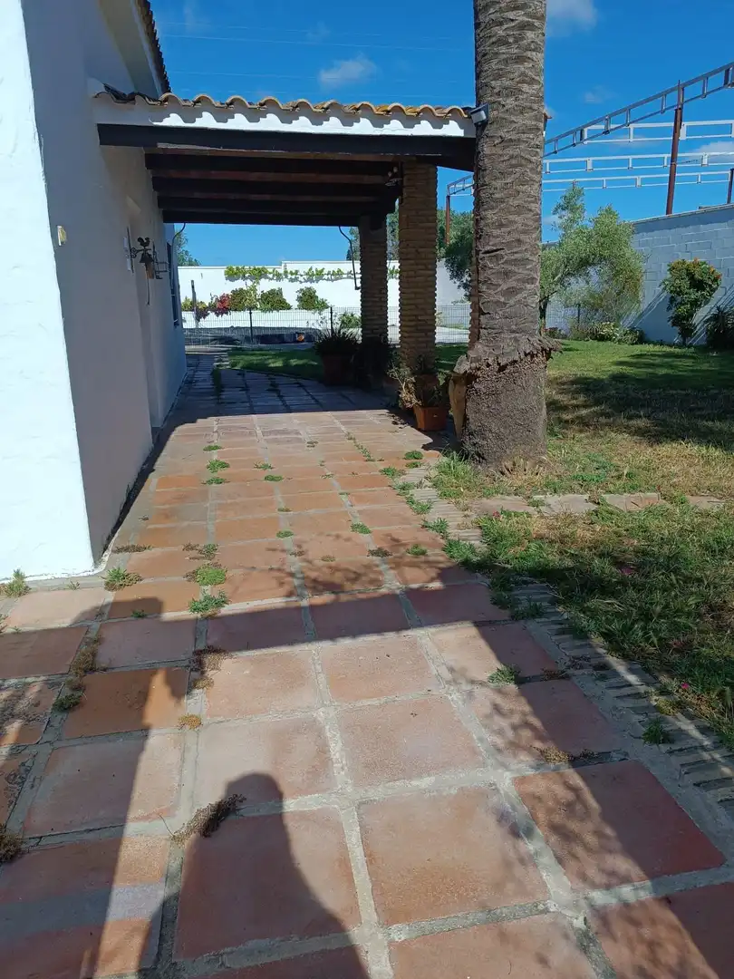 Jardín de Casa o chalet en venta en Puerto Real