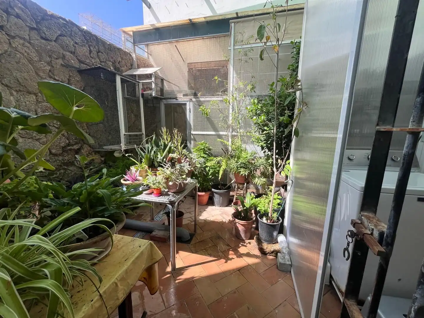 Jardí de Pis en venda en Chipiona amb Terrassa
