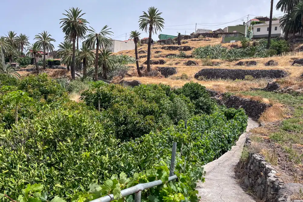Vista exterior de Finca rústica en venda en Vallehermoso amb Terrassa