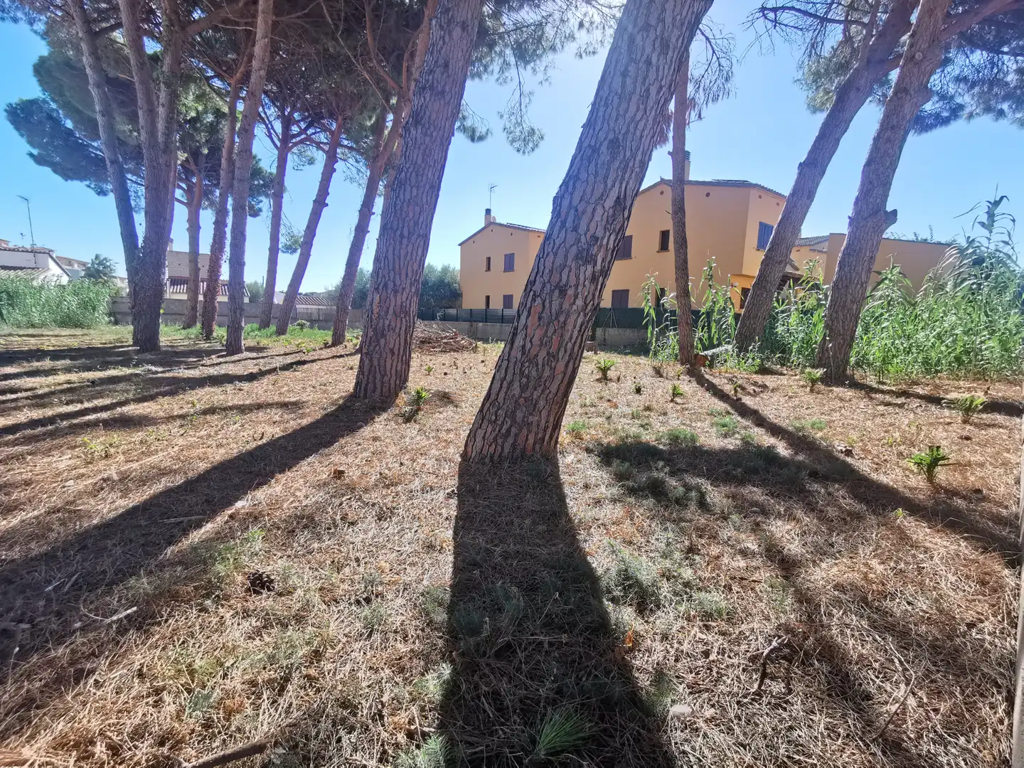 Residential land for sale in Carrer Riells de Dalt, imagen 2