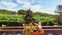 Garden of Flat for sale in Arenys de Mar  with Private garden, Terrace and Storage room