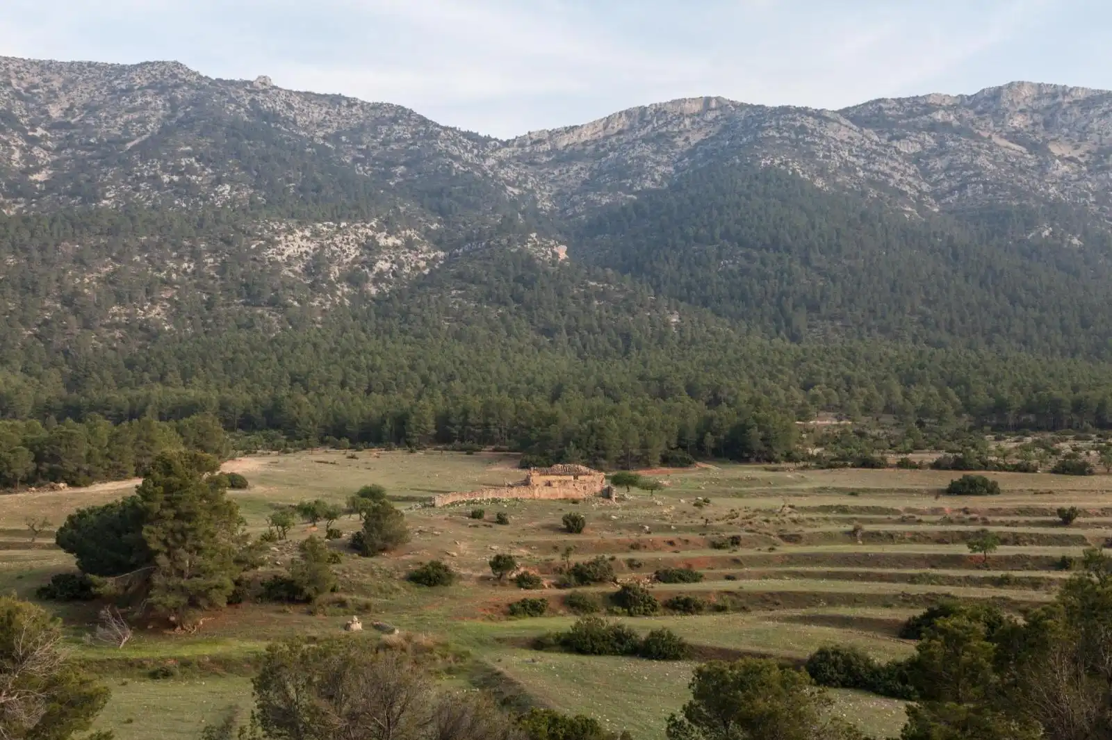 Lands and plots for sale in Mula, imagen 10
