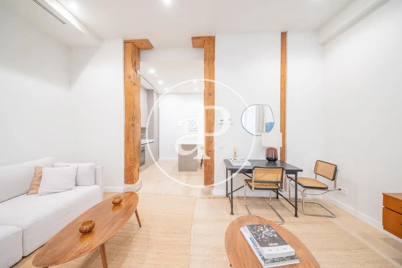 Sala d'estar de Pis de lloguer en Madrid amb Aire condicionat, Calefacció i Jardí privat