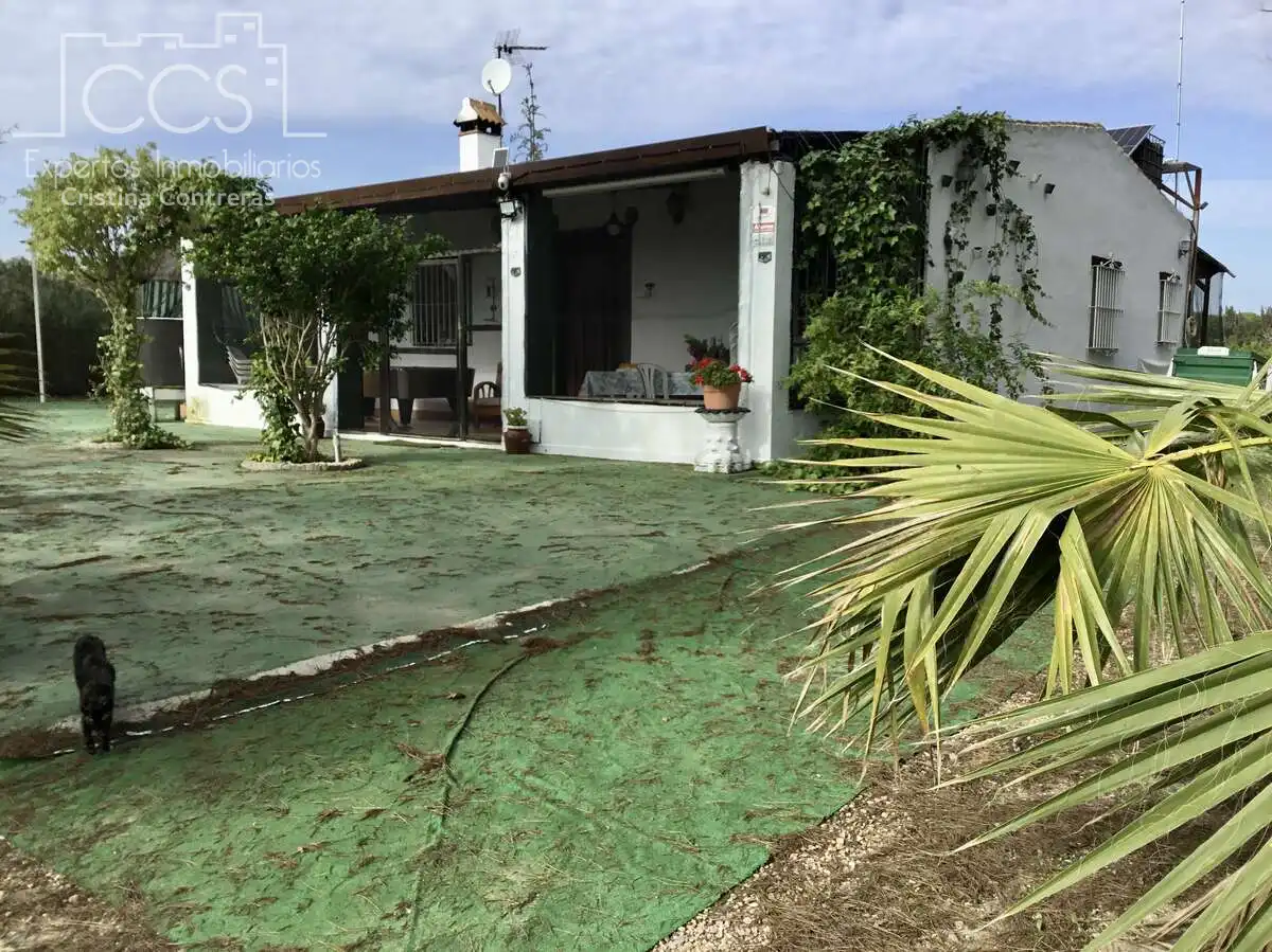 Country house with pool for sale in Almonte ciudad, imagen 13