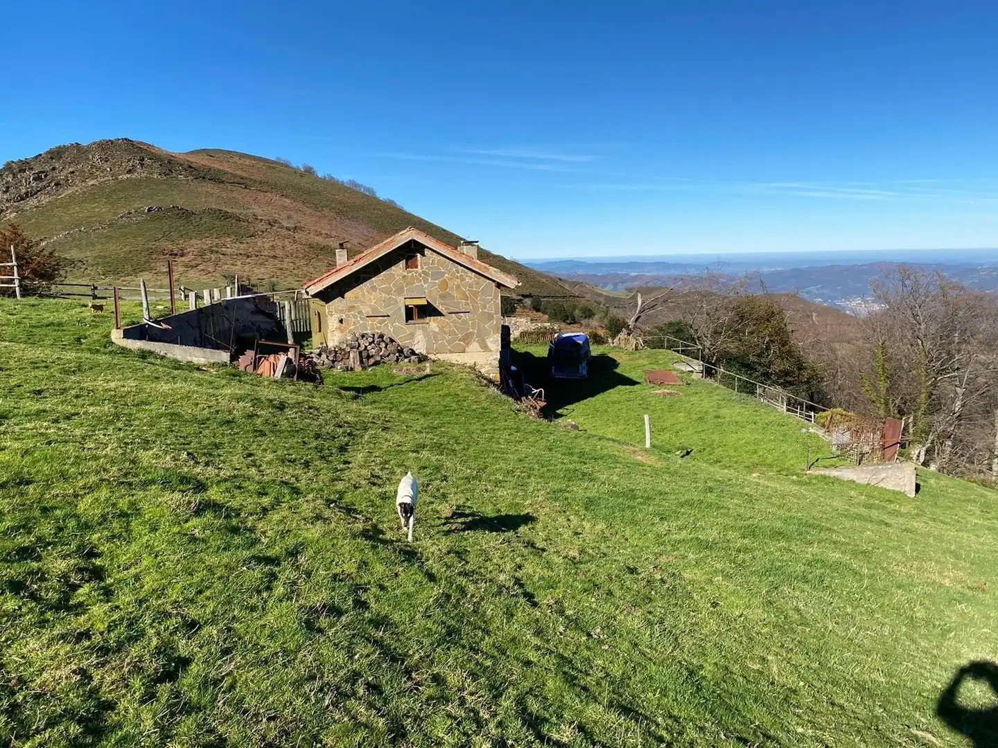 Lands and plots for sale in Lena, imagen 5