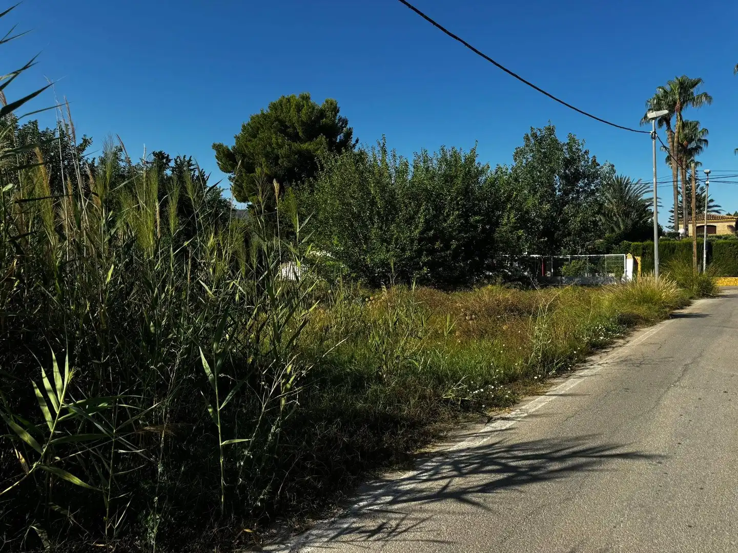 Terrenys i solars en venda a Pedanías Este, imagen 2