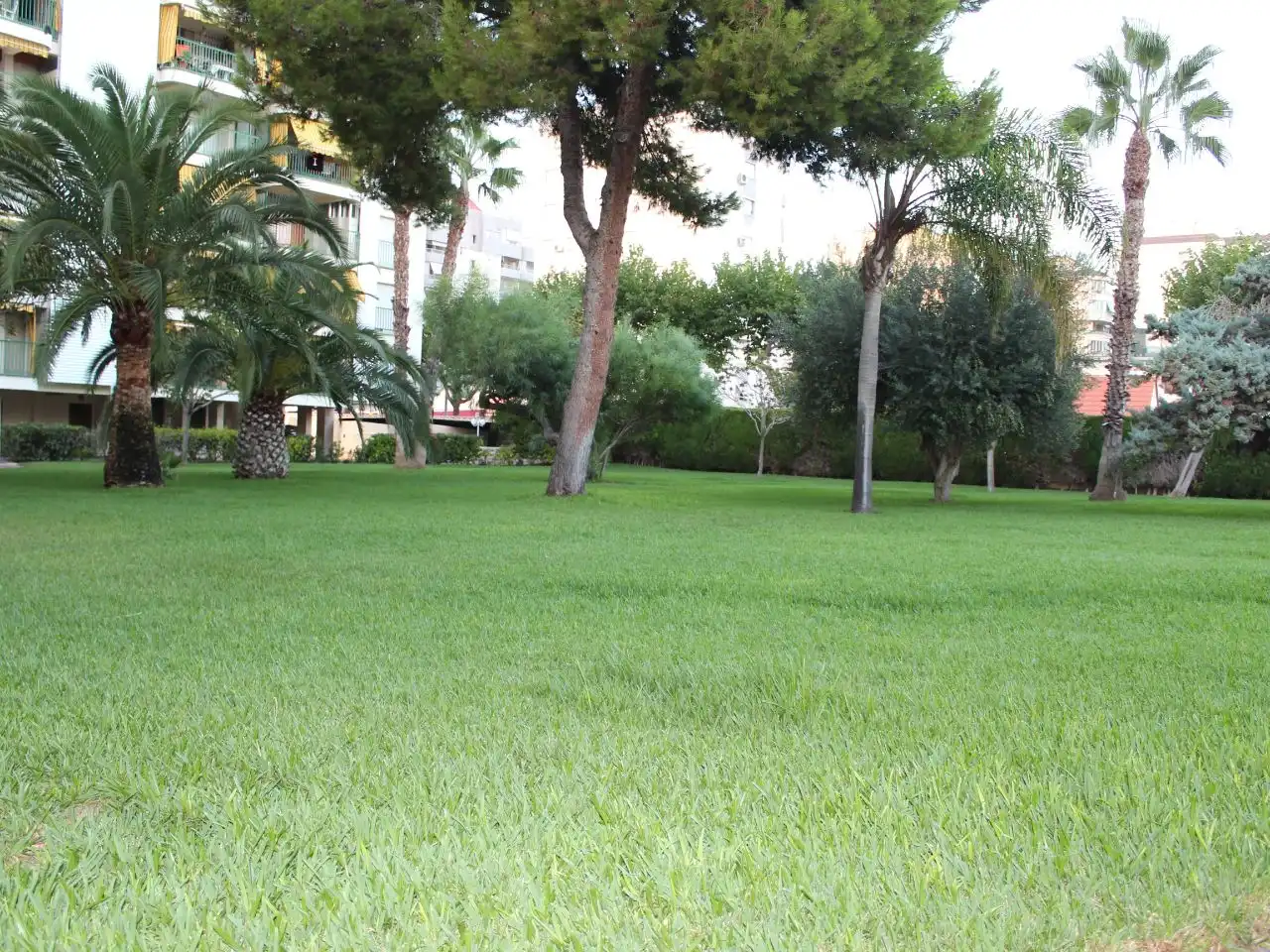 Jardí de Apartament de lloguer en Grau de Gandia - Venecia - Marenys de Rafalcaid