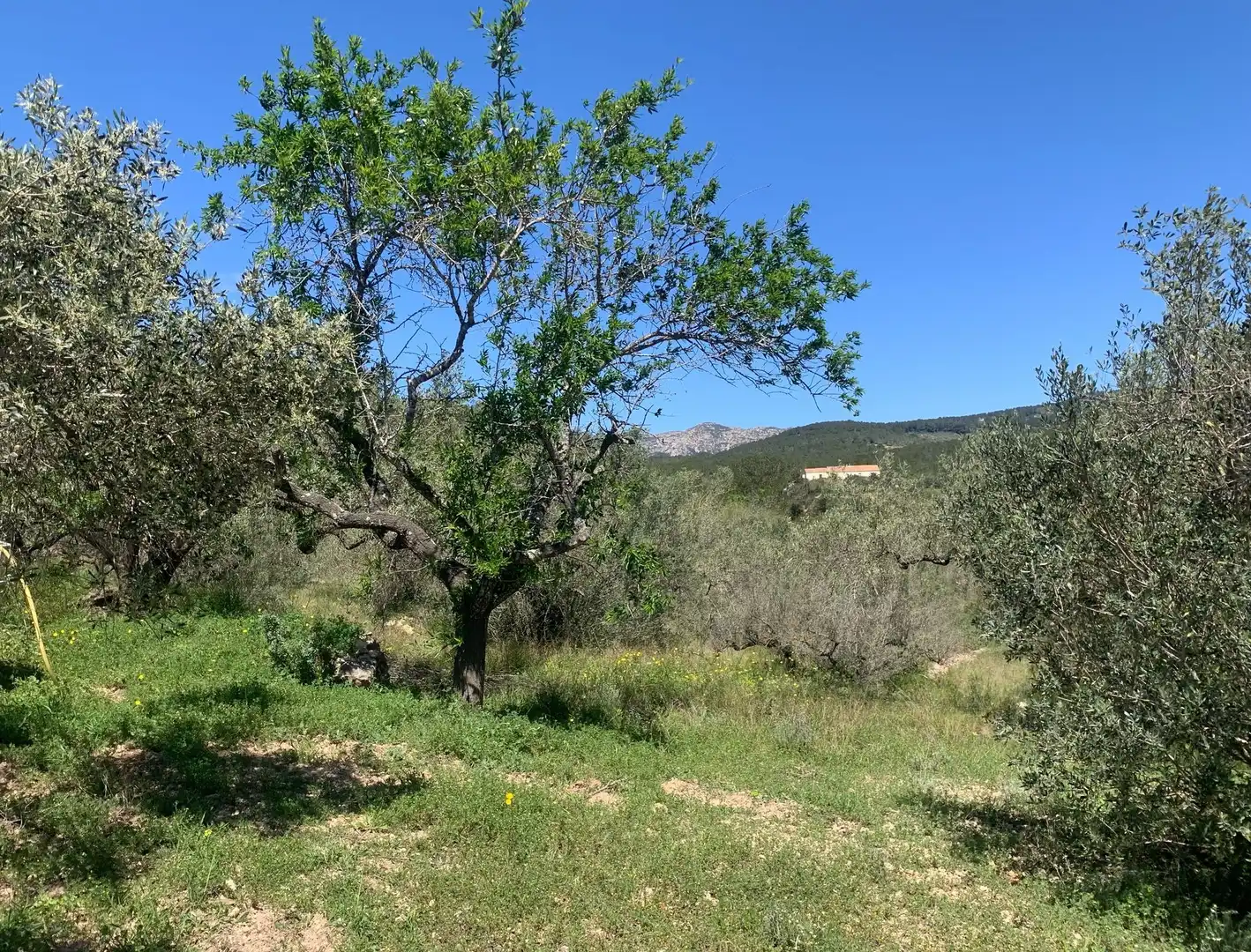 Landhaus zum Verkauf in El Perelló, imagen 37