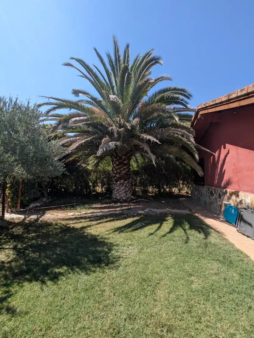 Jardín de Finca rústica en venta en Lerín con Jardín privado, Piscina y Amueblado
